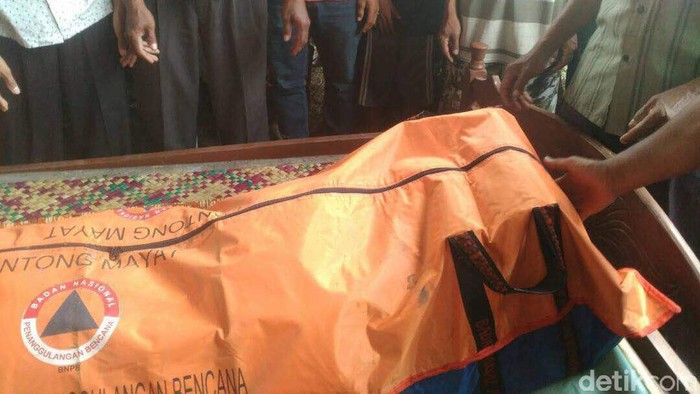 Lagi Cari Rumput, Ibrahim Tewas Diterkam Buaya di Banyuasin