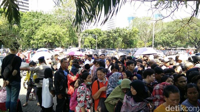 Foto: Citra Fitri Mardiana/detikFinance Foto: Citra Fitri Mardiana/detikFinance