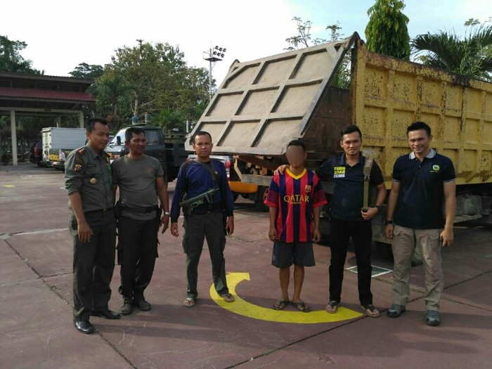 Truk Bermuatan Kayu Hasil Penebangan Liar Ditangkap di Riau