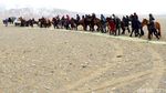 Kisah Pemburu Elang yang Ikonik dari Mongolia