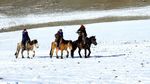 Kisah Pemburu Elang Mongolia