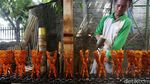 Ramadan Dorong Bisnis Rekal Alquran