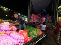DKI Jakarta Impor 10.000 Ton Bawang Putih dari China