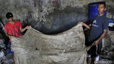 Berkah Pengepul Kulit Sapi di Bulan Ramadan