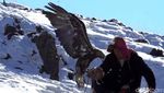 Kisah Pemburu Elang yang Ikonik dari Mongolia