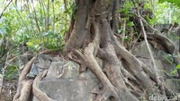 Bukan cuma akar pohon, tapi pohonnya pun tumbuh di atas bangunan ini (Bonauli/detikTravel)