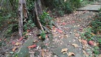 Jalan masuk ke rumah sakit ini juga susah tertutup dengan tanah dan tanaman. Namun lokasinya bisa dibilang lebih mudah ditemukan (Bonauli/detikTravel)