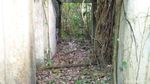 Potret Horor Rumah Sakit Belanda di Sabang