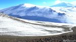 Kisah Pemburu Elang Mongolia