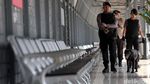 Anjing Pelacak Sisir Stasiun Pasar Senen