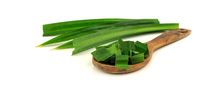 Yuk, Bikin Stok Sirop Pandan yang Harum Legit!