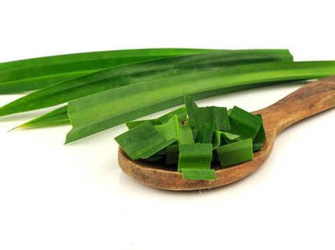 daun pandan