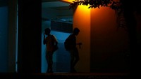 Terkadang bila beruntung, kita bisa bertemu dengan Ratu Semut. Atau jika sedang apes, kita sama sekali tidak mendapat semut yang diincar (Edgar Su/Reuters)