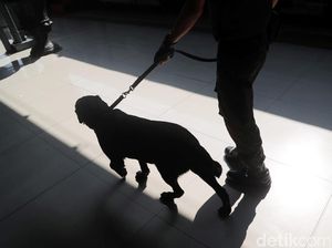 Anjing Pelacak Sisir Stasiun Pasar Senen