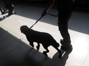 6 Anjing Pelacak Disiagakan Daop Bandung Selama Nataru