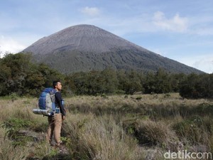 Mengapa Pendakian Gunung Semeru Tidak Boleh Sampai ke Puncak?