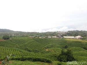 9 Tempat Wisata Malino yang Wajib Dikunjungi Saat Liburan