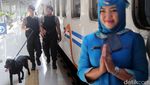 Anjing Pelacak Sisir Stasiun Pasar Senen