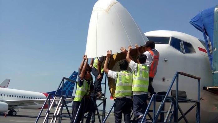 Ombudsman: Pilot Sudah Dilatih Hindari Tabrakan dengan Burung