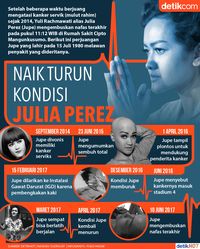 Naik Turun Kondisi Jupe