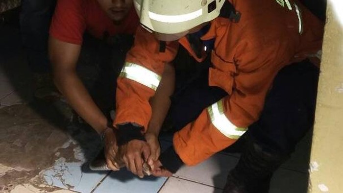 Petugas Damkar Tangkap Kobra 1,5 Meter yang Masuk Rumah di Ciracas