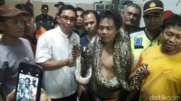 Piton 3,6 Meter Menggelantung di Atap Rumah Warga Tambaksari