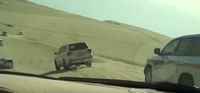 Safari gurun Qatar