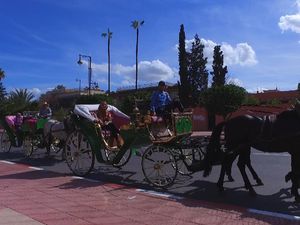 Tour Leader Erwin Ditampung KBRI Rabat, Pulang Belum Pasti