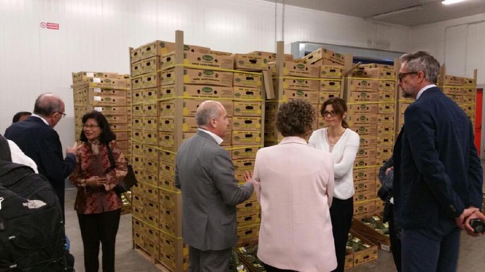 Nanas Segar RI Masuk Pasar Italia