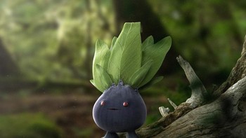 Oddish Foto: Joshua Dunlop