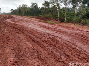 Aspal hingga Lumpur di Jalanan Merauke