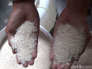 Pemerintah Klaim Beras Surplus 2,5 Juta Ton, Tertinggi dalam 7 tahun