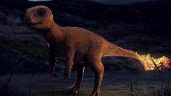 Charmander Foto: Joshua Dunlop