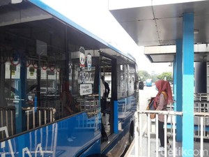 Besok, Semua Koridor TransJ Gratis Mulai Pukul 05.00 WIB