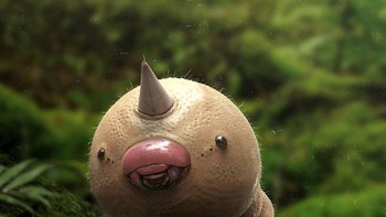 Weedle. Foto: Joshua Dunlop