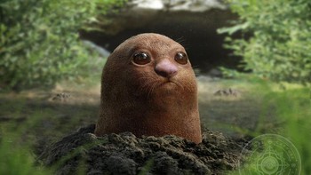 Diglett Foto: Joshua Dunlop