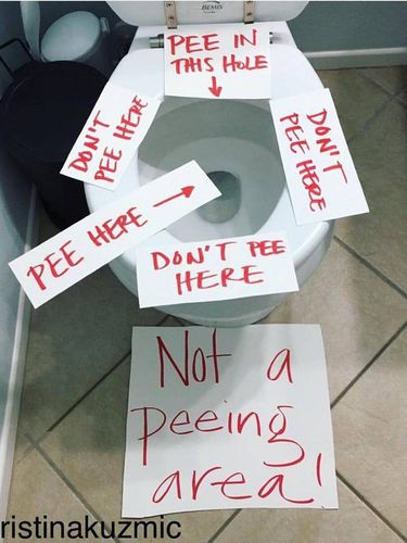 Viral, Cara Ibu Mengajarkan Kebersihan Toilet Untuk Anak-anaknya