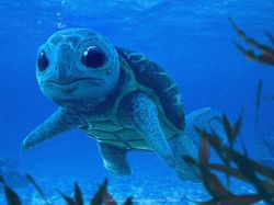 Jika Pokemon Menjadi Nyata