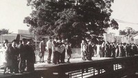 Dibuka pada 1910, Stasiun Kayashima terus melakukan perluasan. Pada 1972 pohon terpaksa ditebang untuk memberi ruang bagi struktur baru. Namun, hal buruk selalu menimpa setiap orang yang mencoba menebang pohon. Pool/me de miru neyagawashi.