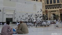 Umat muslim berbagai bangsa duduk menyebar menikmati sarapan mereka dengan aneka jenis pilihan menu yang ada. Ratusan burung dara terbang kesana kemari mematuki makanan burung dan menjadi hiburan (Fitraya/detikTravel)