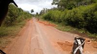 Jalan Trans Papua mulai rusak.