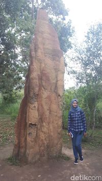 Alhamdulillah! Bisa Live IG Stories di Perbatasan RI-PNG