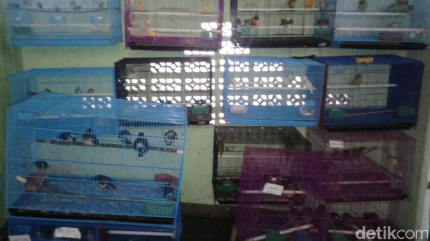 Penitipan Burung
