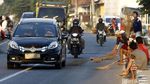 Aksi Bertaruh Nyawa Pemburu Koin di Pantura