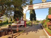 Alhamdulillah! Bisa Live IG Stories di Perbatasan RI-PNG