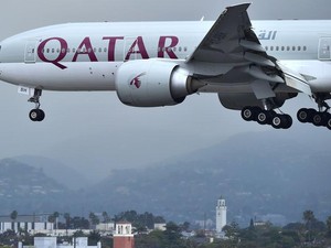 Untuk Pasokan Susu, Qatar Terbangkan 4.000 Sapi dari AS-Australia
