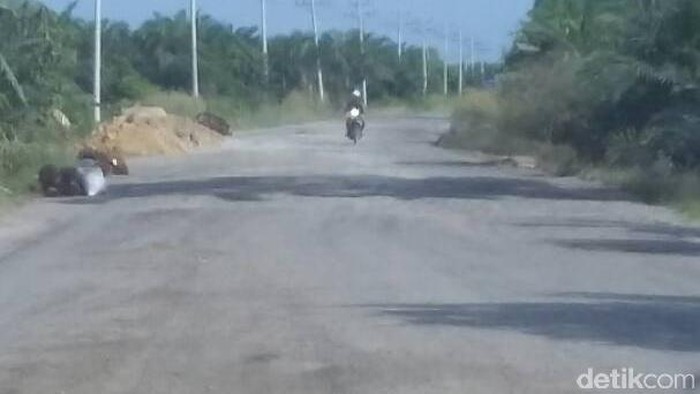 Dinas PU Siak Riau Siagakan Alat Berat di Jalan Rusak