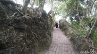 Bunker-bunker ini dihubungkan oleh satu jalur. Jalur ini bisa dibilang cukup sempit, sepertinya jalur ini merupakan parit asli Jepang untuk mengakses bunker (Bonauli/detikTravel)