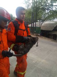 Petugas Damkar Tangkap Monyet di Cilincing yang Gigit Warga