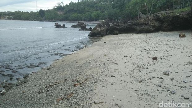 Pantai yang tenang